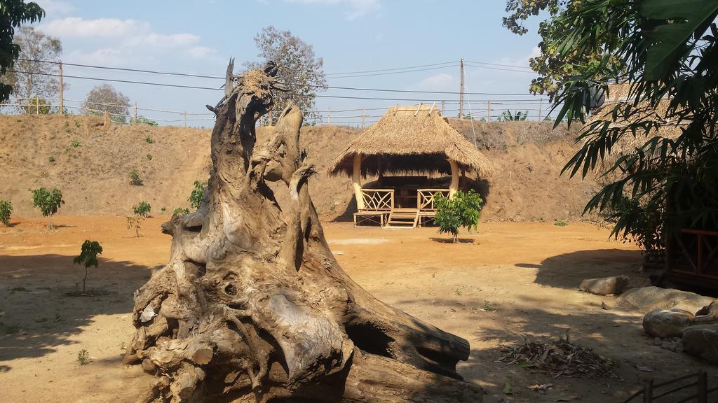 تْشينغْ داوْ Doo-Dao-Doi Farm & Stay المظهر الخارجي الصورة