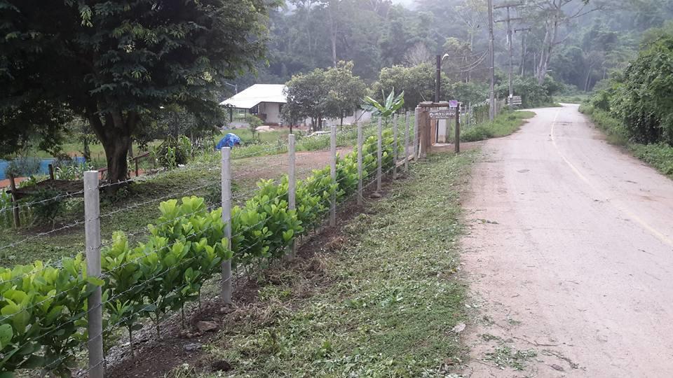 تْشينغْ داوْ Doo-Dao-Doi Farm & Stay المظهر الخارجي الصورة